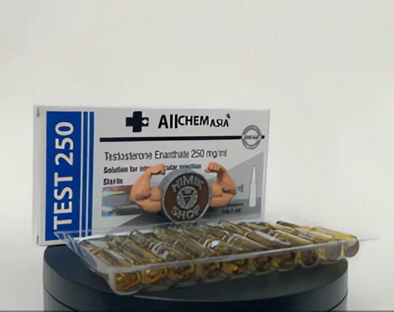 TEST 250 (Testosterone Enanthate) Allchem Asia - 250mg/ml/10amp