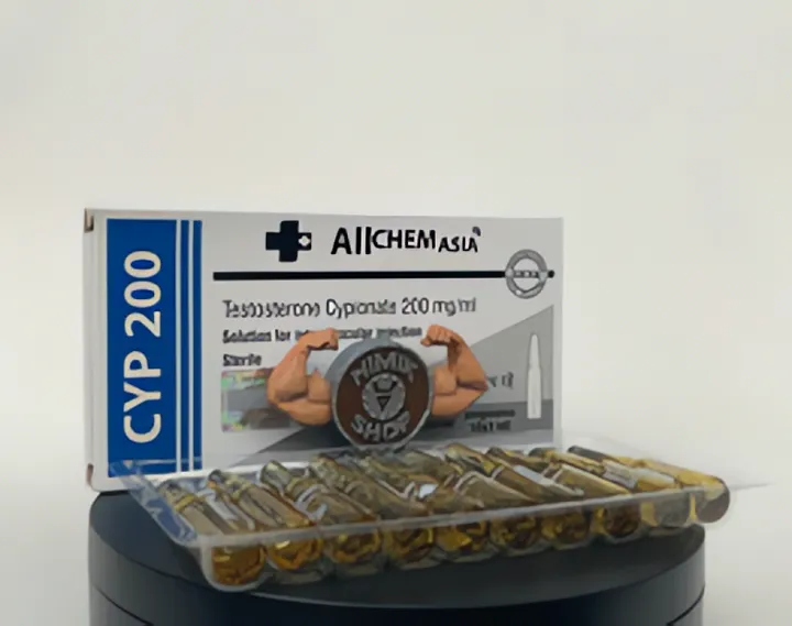 CYP 200 (Testosterone Cypionate) Allchem Asia - 200mg/ml/10amp